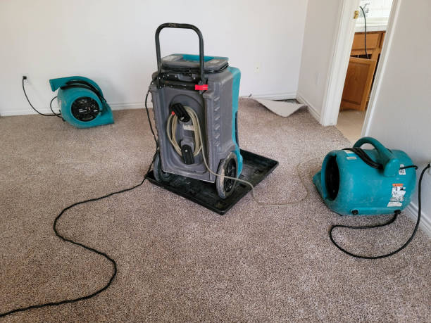 Best Carpet water damage restoration  in Graham, NC