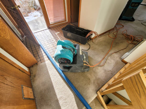 Best Flood restoration services  in Graham, NC