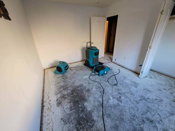 Best Water damage repair service  in Graham, NC