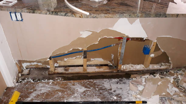 Best Water damage restoration mold remediation  in Graham, NC