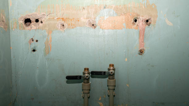 Best Sewage cleanup and water damage restoration  in Graham, NC