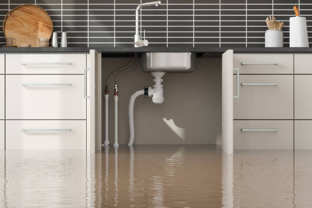 Best Basement water damage restoration  in Graham, NC